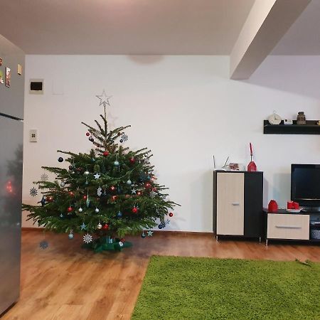 Appartement Gloria Apartament à Baia Mare Extérieur photo