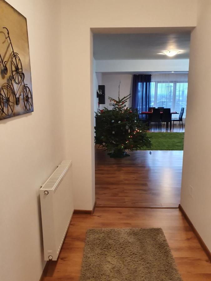 Appartement Gloria Apartament à Baia Mare Extérieur photo