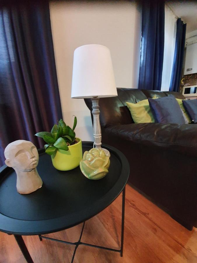 Appartement Gloria Apartament à Baia Mare Extérieur photo