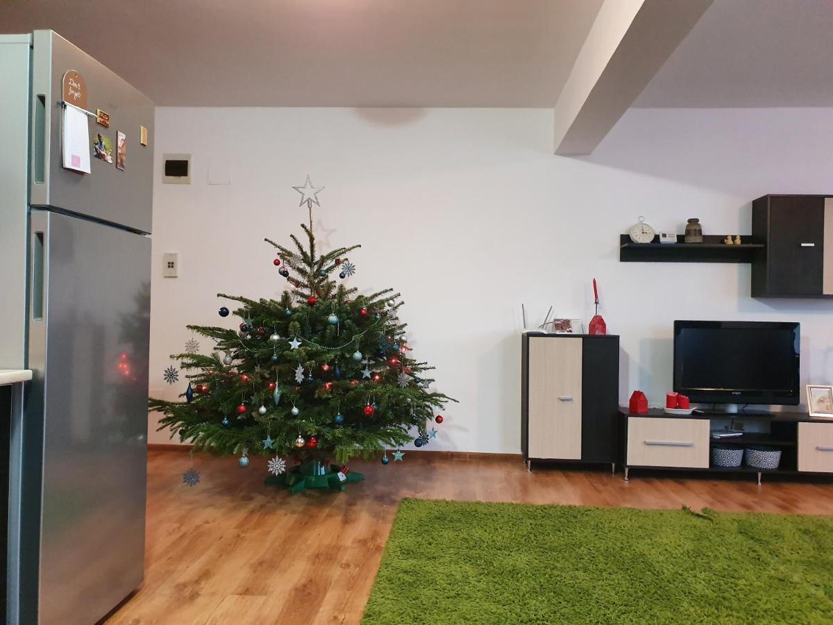 Appartement Gloria Apartament à Baia Mare Extérieur photo