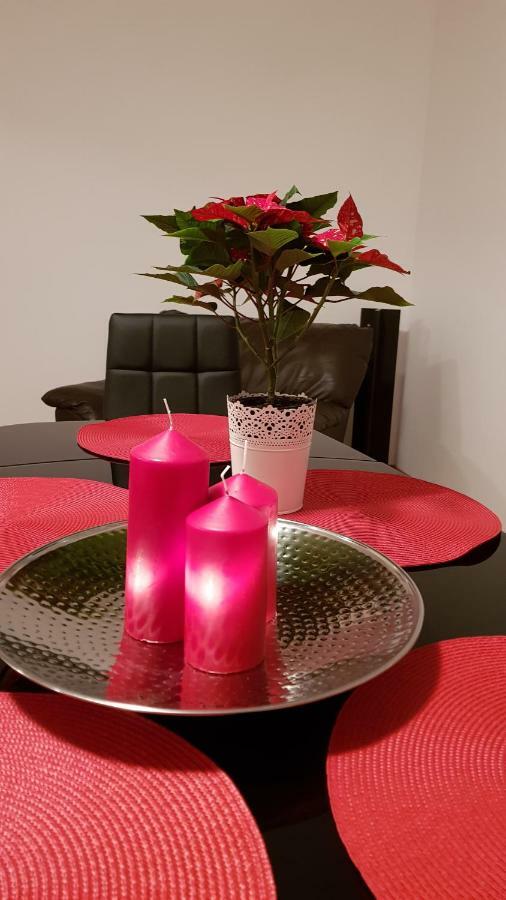 Appartement Gloria Apartament à Baia Mare Extérieur photo