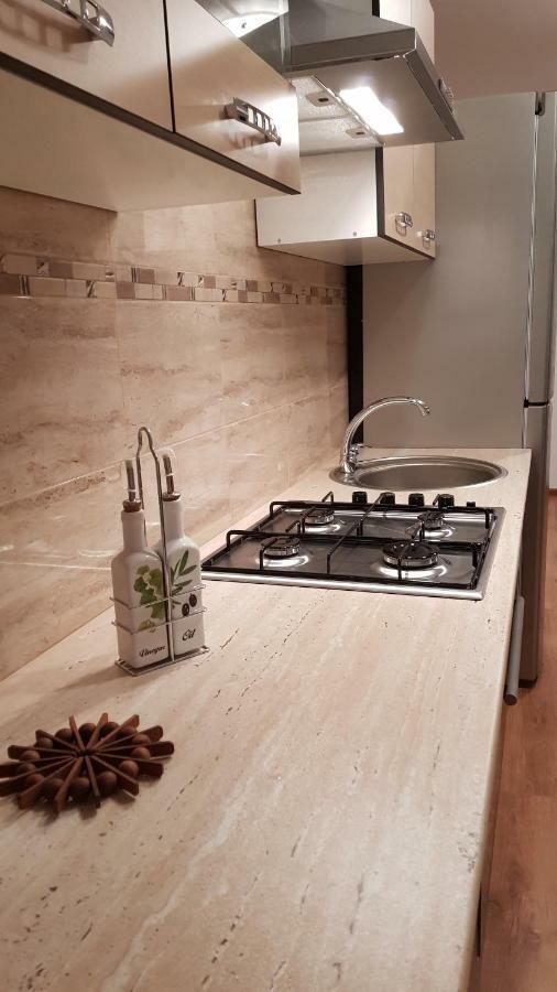 Appartement Gloria Apartament à Baia Mare Extérieur photo