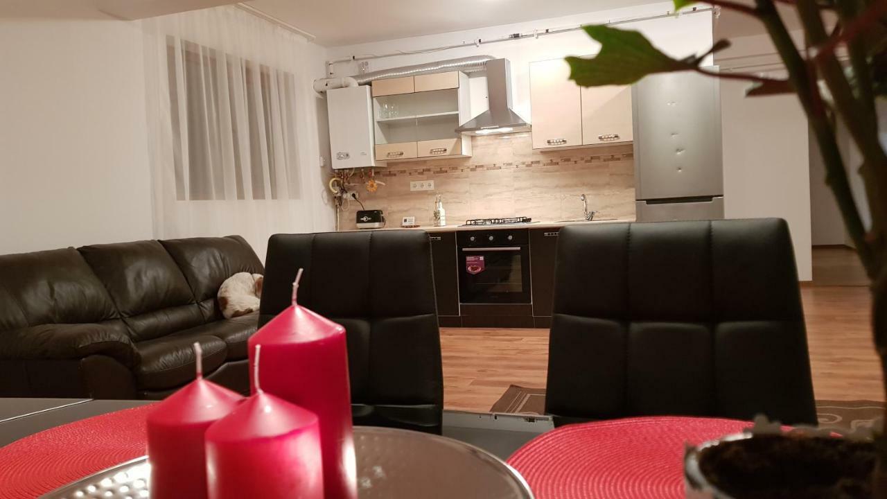 Appartement Gloria Apartament à Baia Mare Extérieur photo