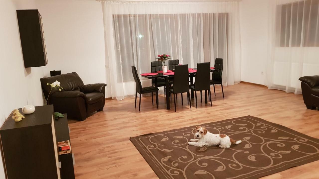 Appartement Gloria Apartament à Baia Mare Extérieur photo